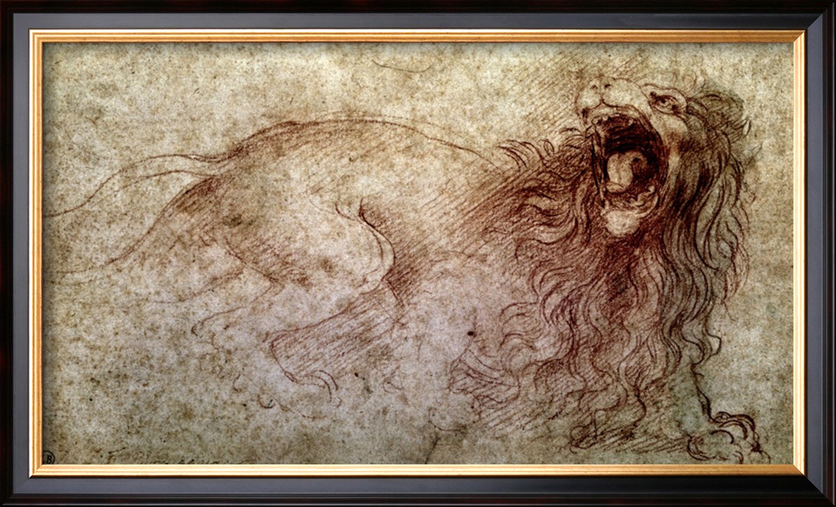 SKETCH OF A ROARING LION - Leonardo Da Vinci Painting